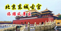淫水逼逼中国北京-东城古宫旅游风景区